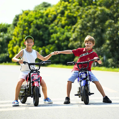 isinwheel A12 Elektrisches Dirt Bike für Kinder 36V 350W